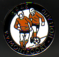 Badge VV Montfoort